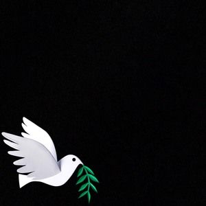 Meet your Posher, Luisa